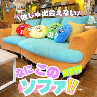 画像8661