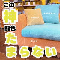 画像8662