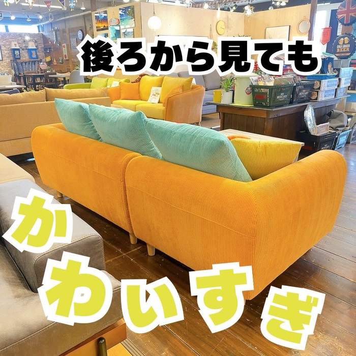 画像8663