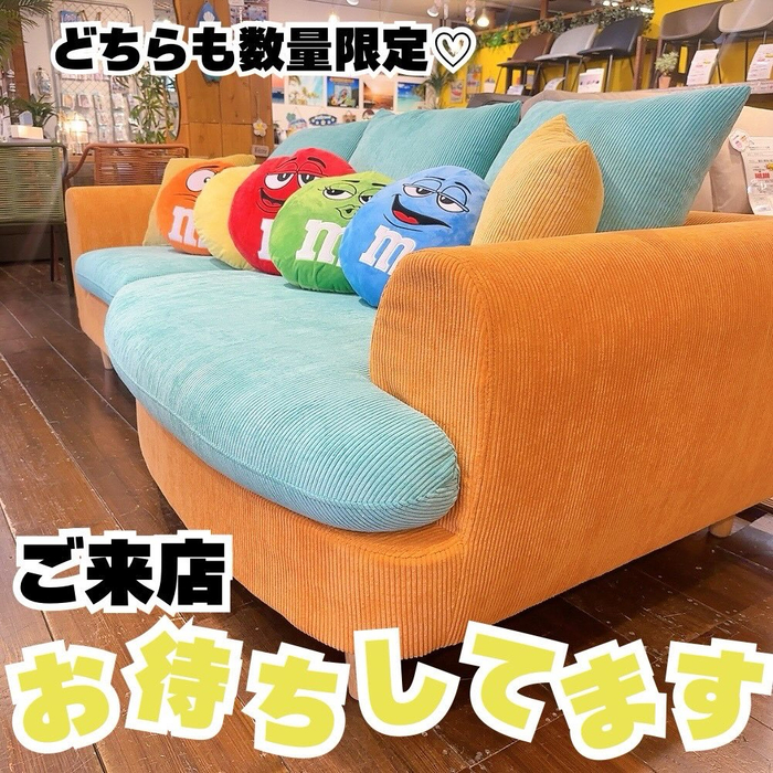画像8670