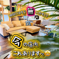 画像9025
