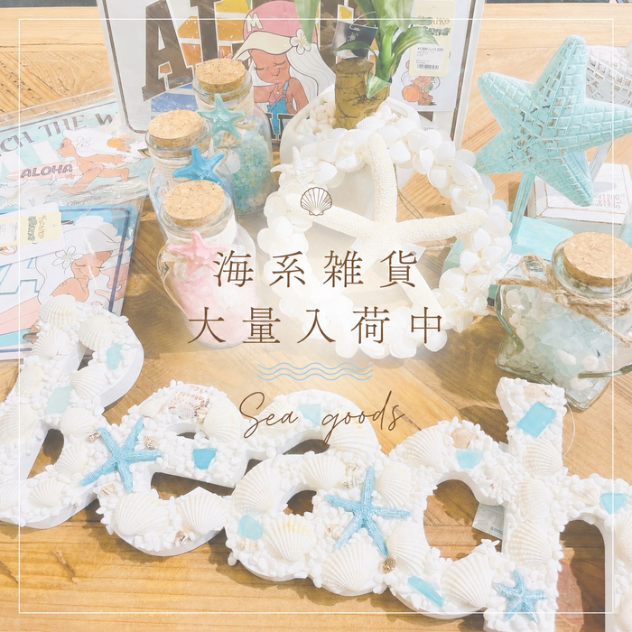 画像9060