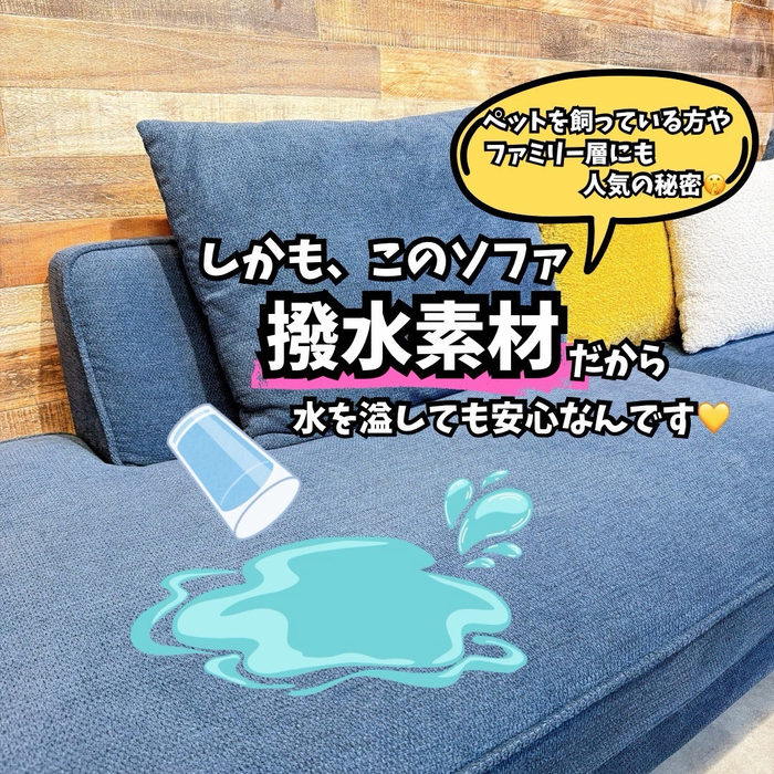 画像9083