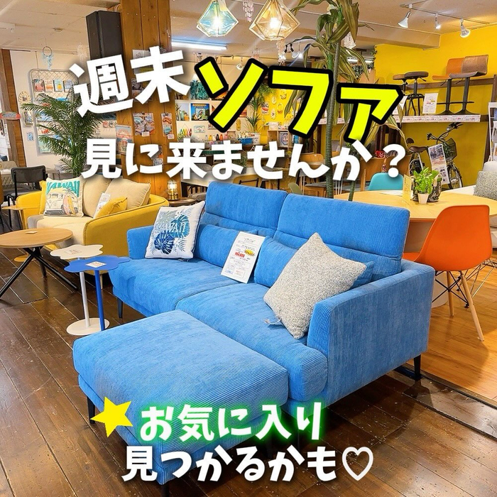 画像9252