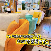 画像9371