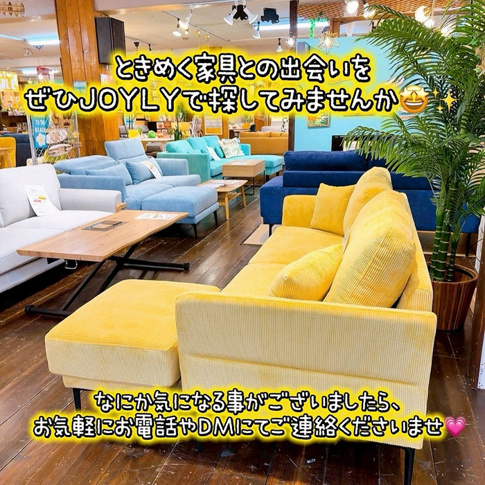 画像9374