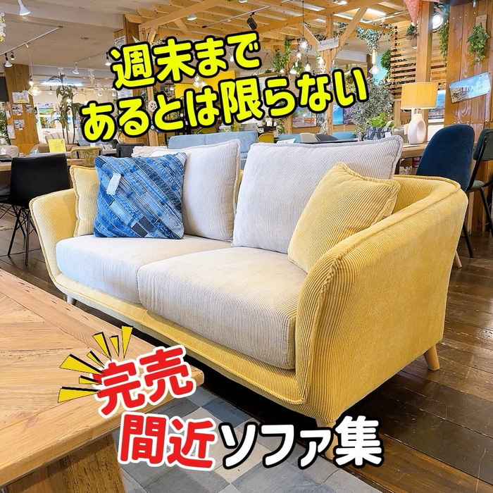 画像9406