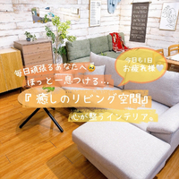 画像9464