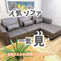 画像9660