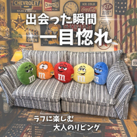 画像9933